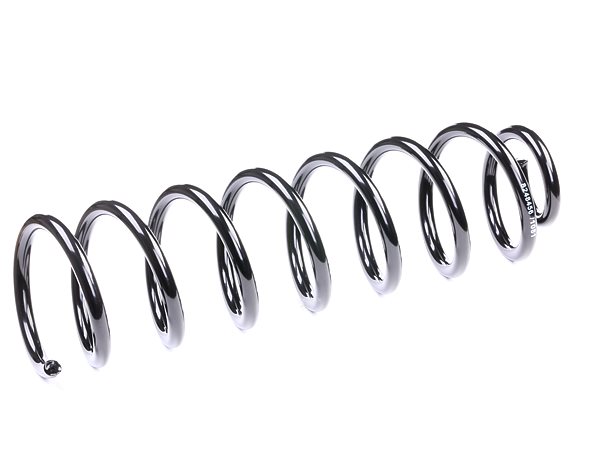 RIDEX 188C0133 Federn RENAULT MEGANE 2 Stufenheck (LM0/1) 1.4 82 PS Benzin