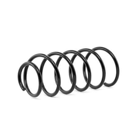 RIDEX 188C0216: Fahrwerksfeder Vorderachse