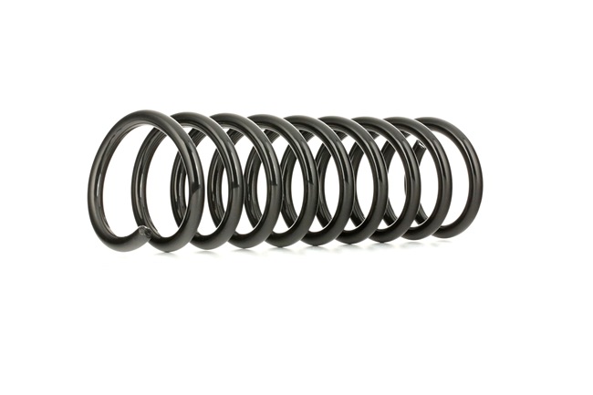 RIDEX 188C0275: Fahrwerksfeder Hinterachse