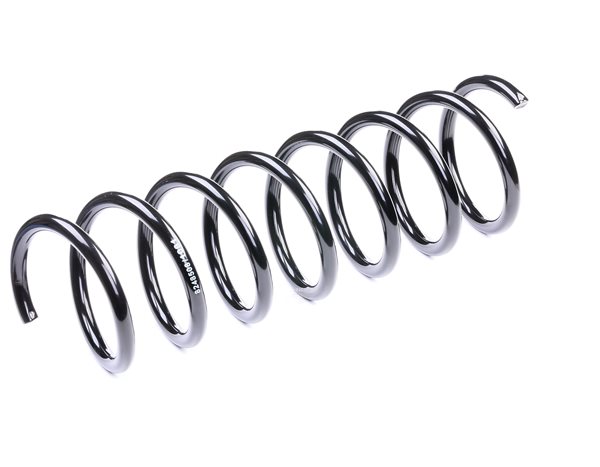 RIDEX 188C0256: Fahrwerksfeder Hinterachse