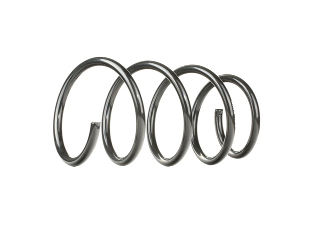 RIDEX 188C0121: Chassisveer Vooras