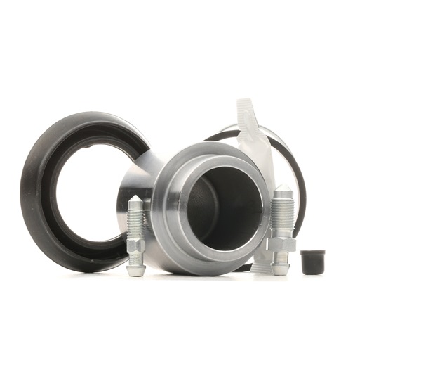 AUTOFREN SEINSA D42164C: Bremssattel-Reparatursatz