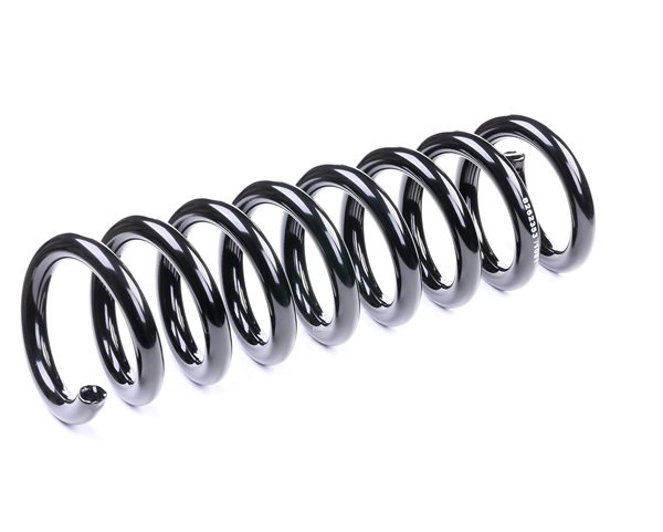 RIDEX 188C0220: Fahrwerksfeder Hinterachse