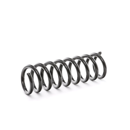 RIDEX 188C0326: Fahrwerksfeder Hinterachse