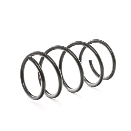 RIDEX 188C0325: Fahrwerksfeder Vorderachse