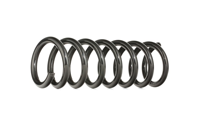 RIDEX 188C0338: Fahrwerksfeder Vorderachse