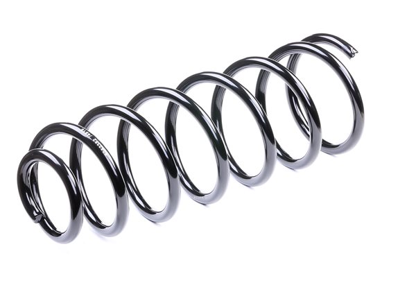RIDEX 188C0369: Fahrwerksfeder Hinterachse