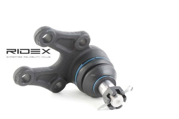 RIDEX 2462S0248: Zvislý / nosný čap spodny, predna naprava obe strany, 18,00mm