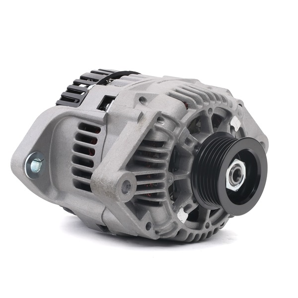 STARK SKGN-0320200: Laturi 75A