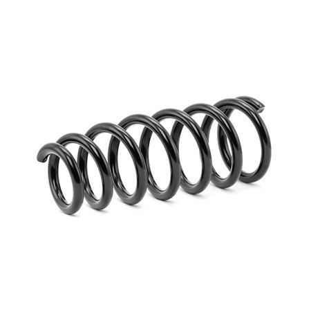 KYB RI6503: Arc spiral puntea spate K-Flex