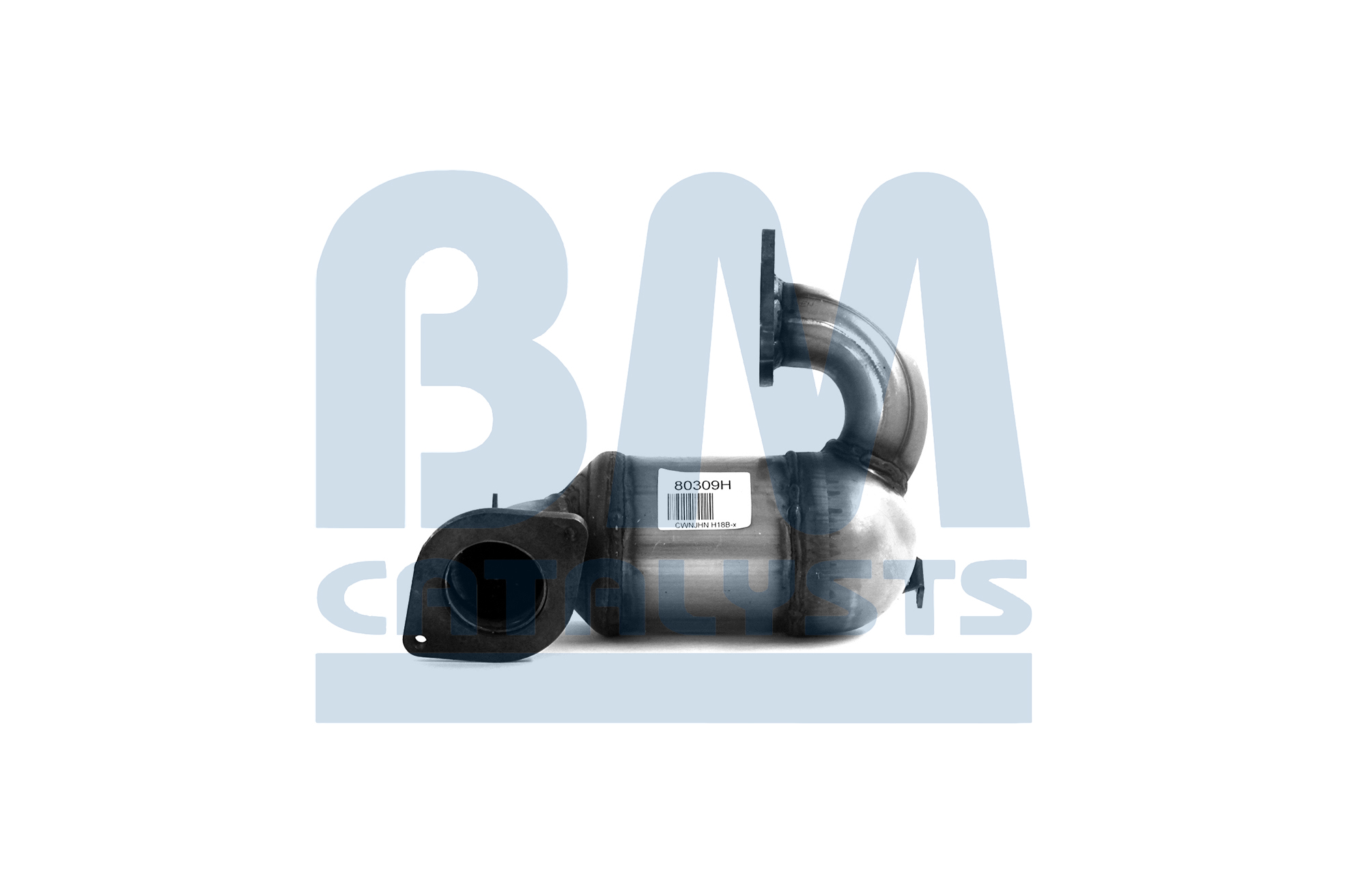 BM CATALYSTS BM80309H: Katalysator Non-approved