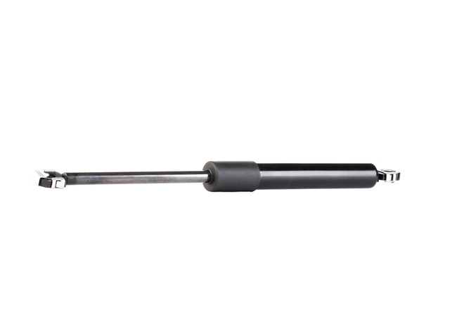 RIDEX 219G0470: Heckklappendämpfer