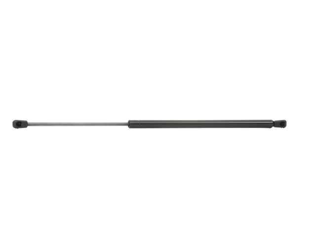RIDEX 219G0394: Heckklappendämpfer beidseitig, 560mm