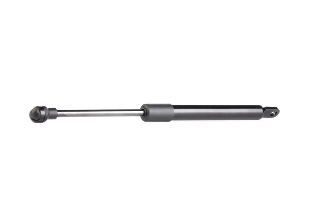 RIDEX 219G0524: Heckklappendämpfer beidseitig, 305mm