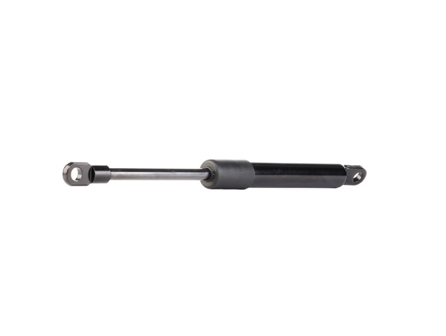 RIDEX 219G0497: Heckklappendämpfer 255mm