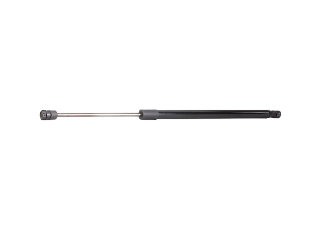 RIDEX 219G0396 Газов амортисьор, багажно / товарно пространство TOYOTA COROLLA Verso (ZDE12_, CDE12_) 135 K.C. бензин цена