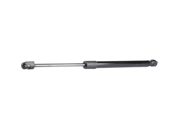 RIDEX 219G0419: Heckklappendämpfer rechts, 408mm
