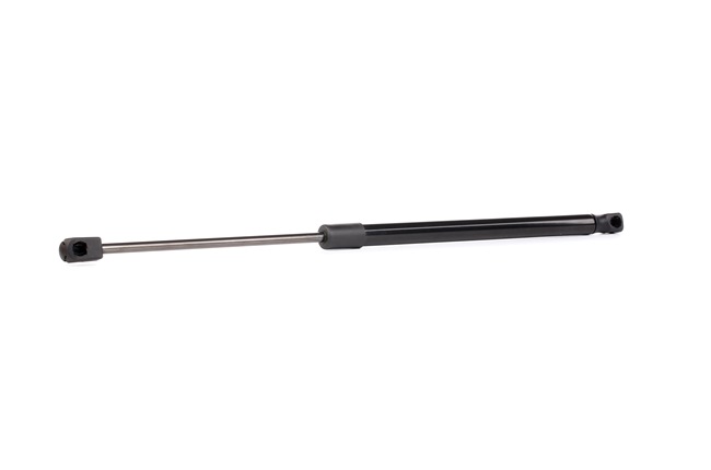 RIDEX 219G0631: Heckklappendämpfer beidseitig, 490mm