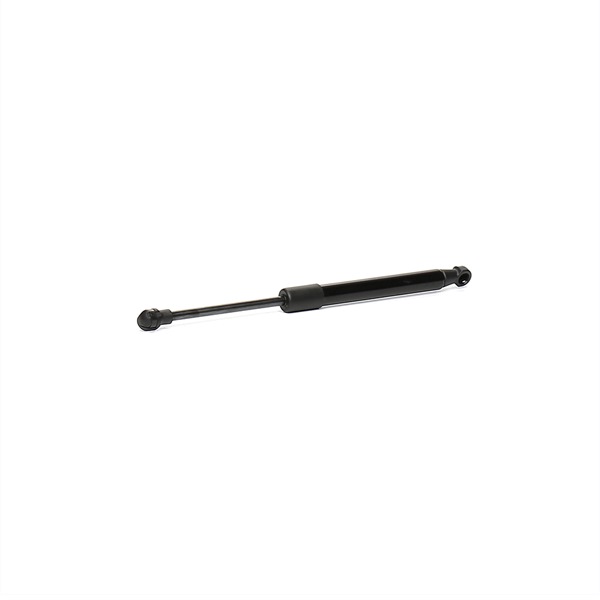 RIDEX 219G0572: Heckklappendämpfer beidseitig, 300mm
