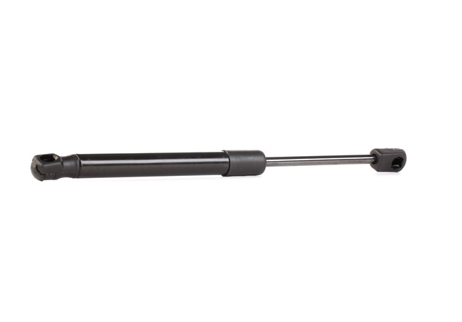RIDEX 219G0454: Heckklappendämpfer beidseitig, 302,5mm