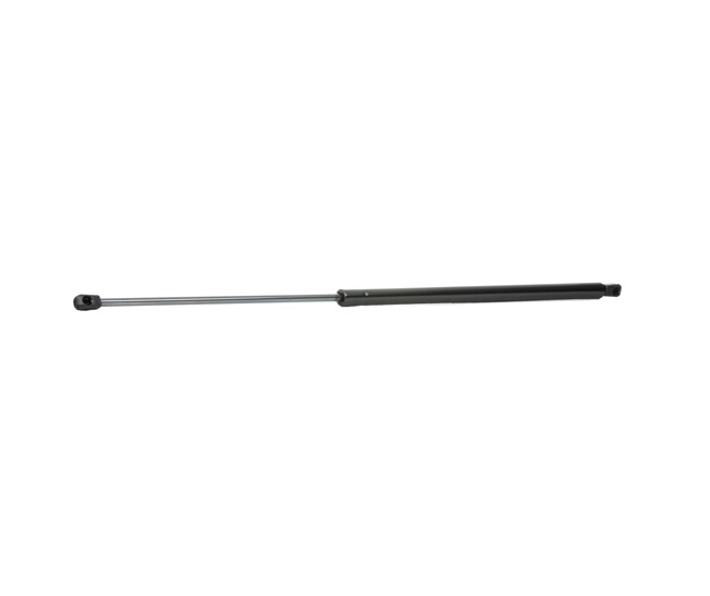 RIDEX 219G0601: Amortiguador de maletero 775mm
