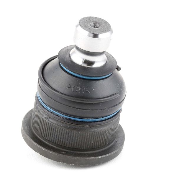 RIDEX 2462S0170 Testina braccio oscillante RENAULT MODUS / GRAND MODUS (F/JP0_) 112 CV Benzina costo