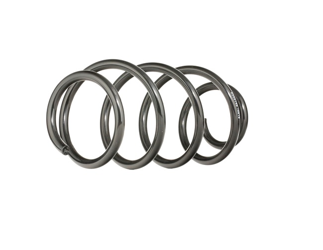 RIDEX 188C0364: Fahrwerksfeder Vorderachse