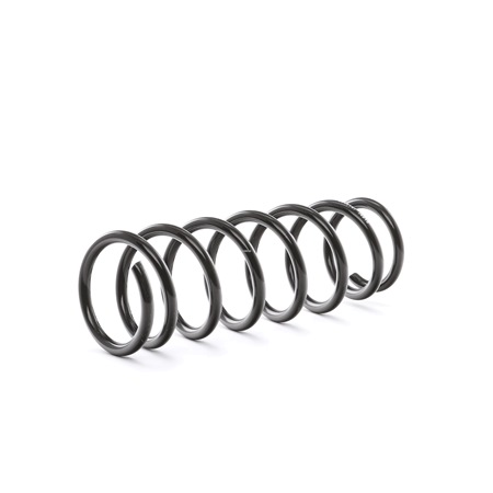 RIDEX 188C0358: Fahrwerksfeder Hinterachse