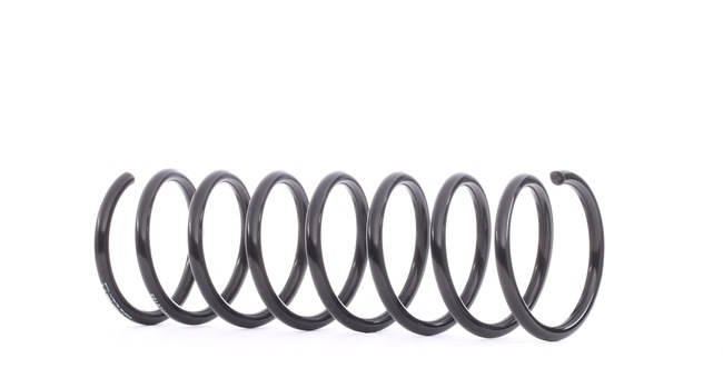 RIDEX 188C0105: Fahrwerksfeder Hinterachse