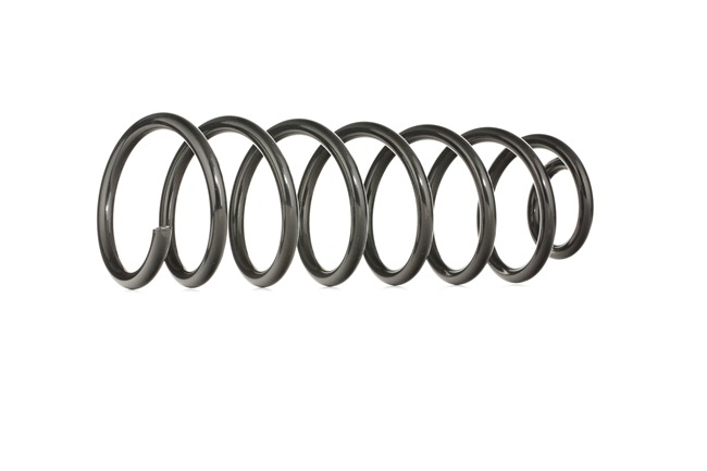 RIDEX 188C0247: Fahrwerksfeder Hinterachse