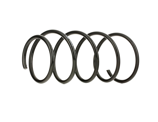 RIDEX 188C0232: Fahrwerksfeder Vorderachse