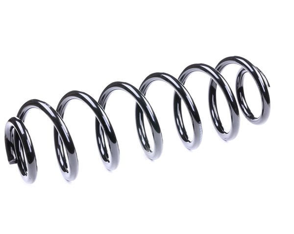 RIDEX 188C0125: Chassisveer Achteras