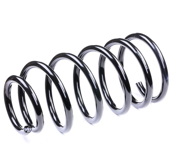 RIDEX 188C0340: Arc spiral puntea spate