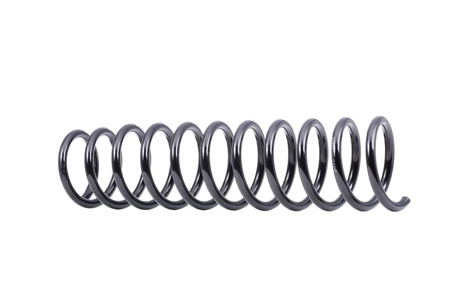 RIDEX 188C0238: Arc spiral puntea spate