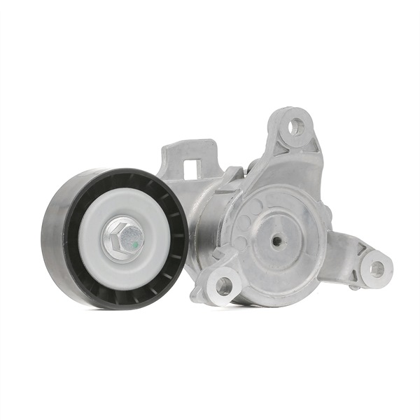 RIDEX 310T0259 Napínacia kladka rebrovaného klinového remeňa PEUGEOT 307 (3A/C) 143 KS Benzín cena