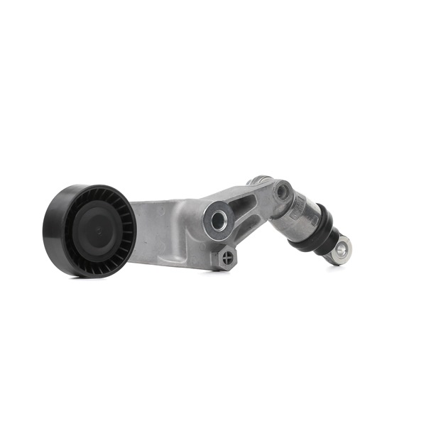 RIDEX 310T0252 Spanrol, poly V-riem TOYOTA RAV 4 II (CLA2_, XA2_, ZCA2_, ACA2_) 125 Pk Benzine kosten