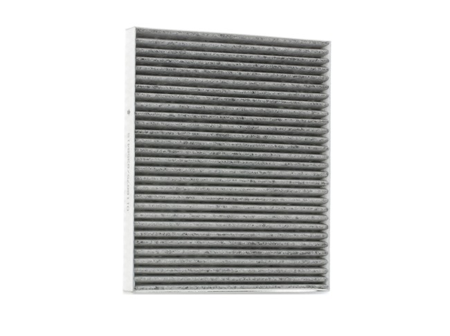 STARK SKIF-0170399: Filtrs, Salona telpas gaiss Aktivētās ogles filtrs, Suspendēto vielu filtrs (HEPA)