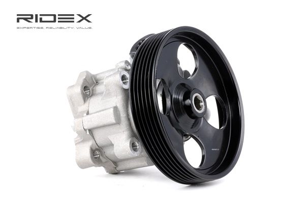 RIDEX 12H0095 Servopumpe CITROЁN C5 II Break (RE_) 109 PS Diesel Kosten