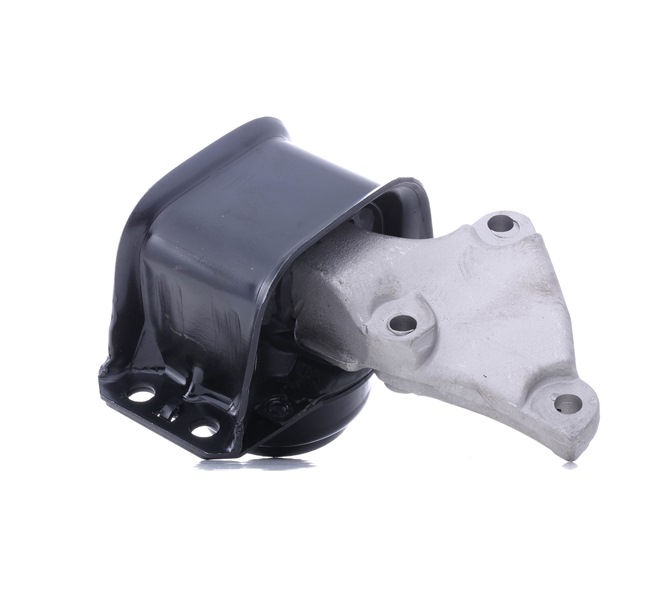 TEDGUM 00516309: Suport motor