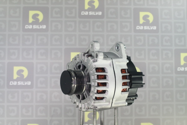 DA SILVA 012008: Lichtmaschine 220A