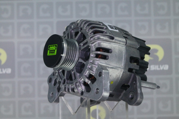 DA SILVA 012037: Alternador 110A