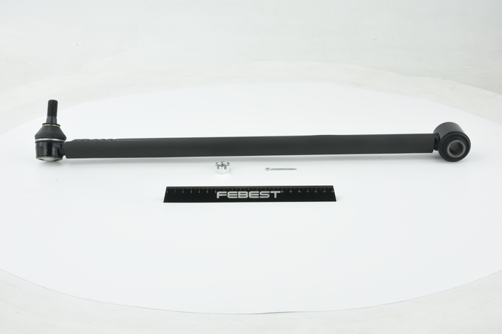 FEBEST 0125-012 Querlenker TOYOTA RAV 4 I (SXA1_) 165 PS Benzin Kosten