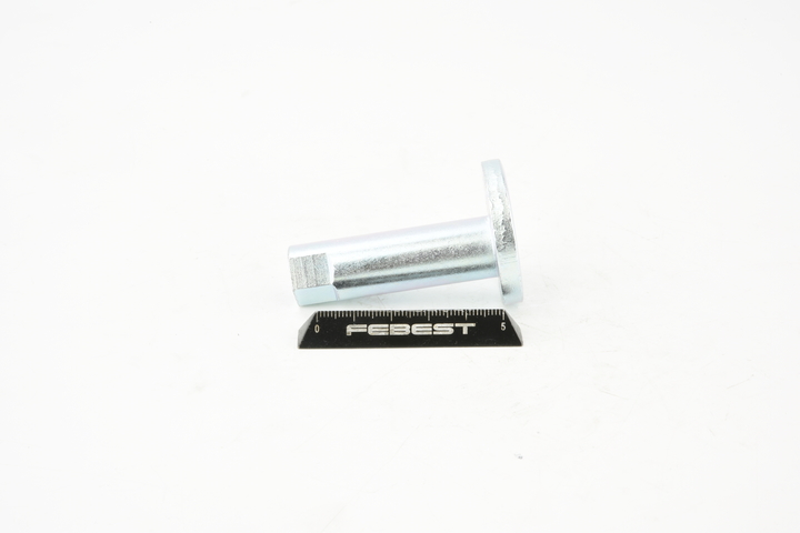 FEBEST 0132-009: Nachlaufschale, corp axe
