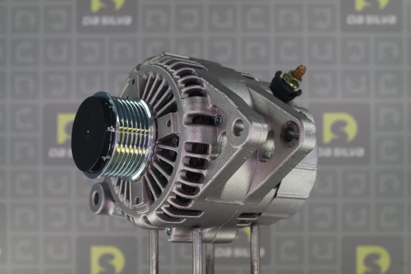 DA SILVA 030618: Lichtmaschine 110A