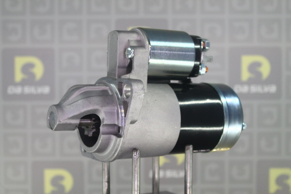 DA SILVA 041206: Motor de arranque 1kW