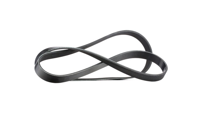 MEYLE 050 006 1520: Moniurahihna 1520mm, Kiiloja: 6, ORIGINAL Quality