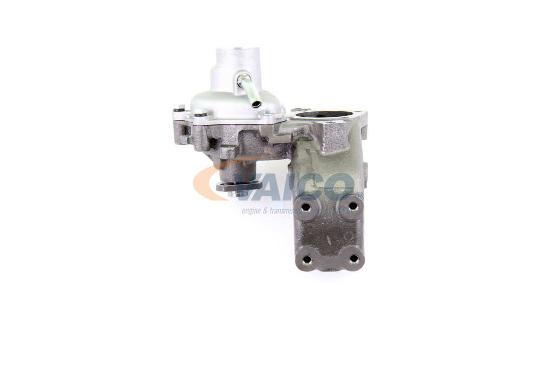 VAICO V24-50013: Wasserpumpe mit Dichtung, Original VAICO Qualität