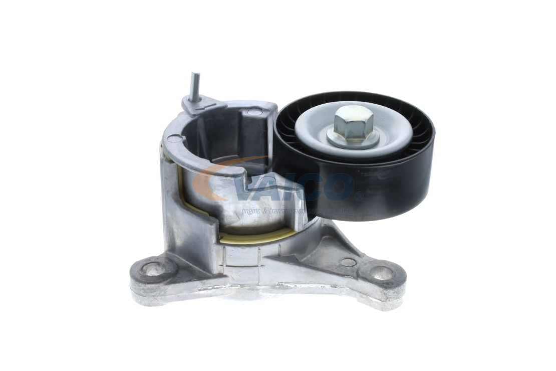 VAICO V42-0202: Rola intinzator, curea transmisie Ř: 65mm, Ř: 65mm, Original VAICO Quality