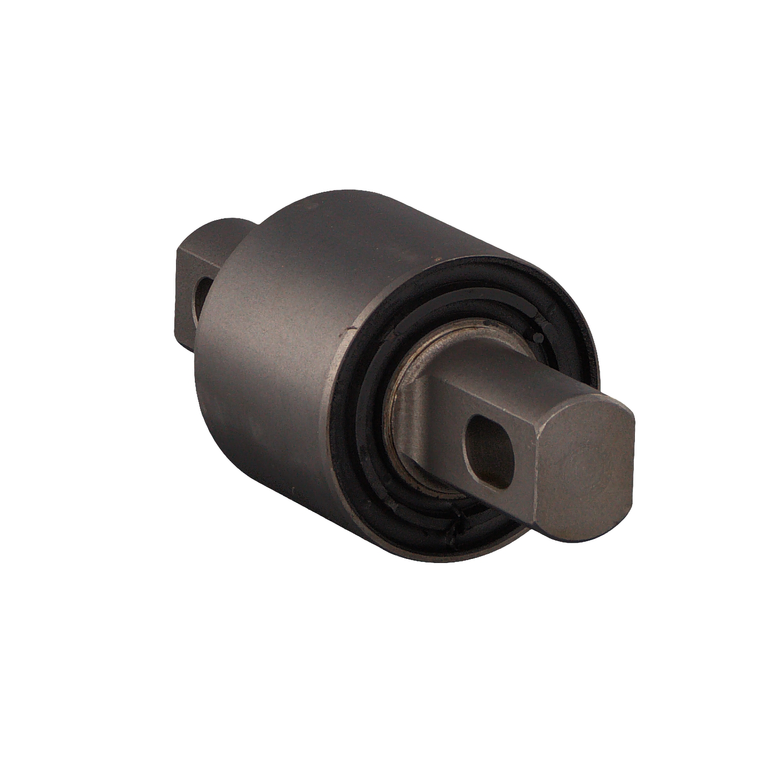 FEBI BILSTEIN 100052: Zawieszenie, stabilizator Oś tylna, Guma, 19[mm]