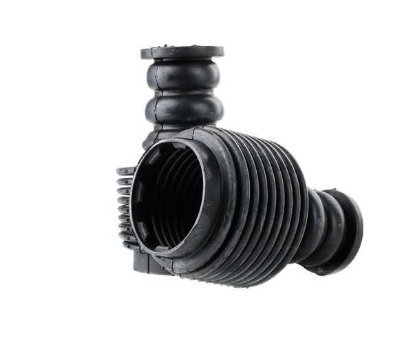 BILSTEIN - B1 Service Parts 11-267904 Stoßdämpfer Staubschutzsatz und Anschlagpuffer RENAULT Megane 3 Schrägheck (BZ0/1_) 1.6 16V BiFuel (BZ1U, BZ0U) 110 PS Benzin/Autogas (LPG)